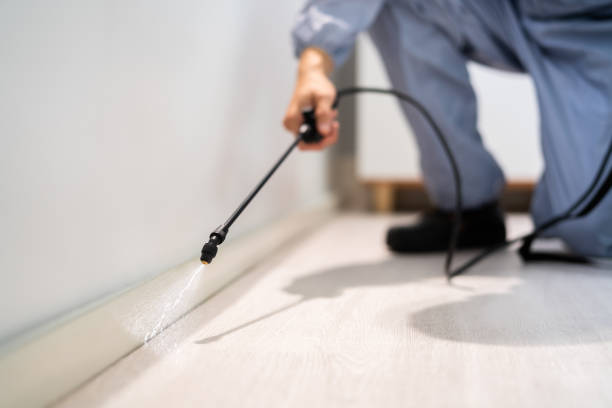 Bed Bug Pre-Treatment Preparation Assessment in Chalco