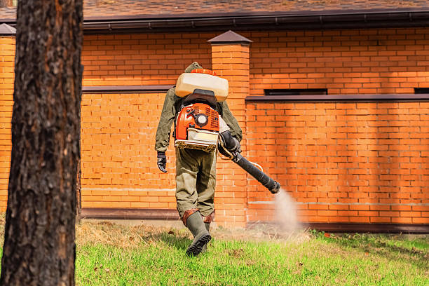 Bed Bug Clearance Verification and Documentation in Chalco